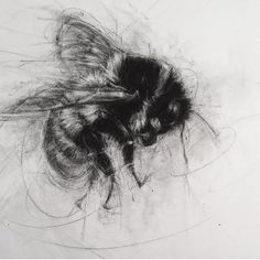 REQUIEM VOOR EEN&nbsp;HOMMEL