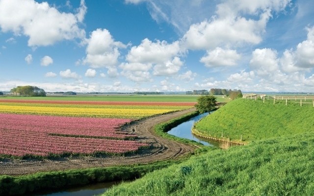 A Sense of&nbsp;Place