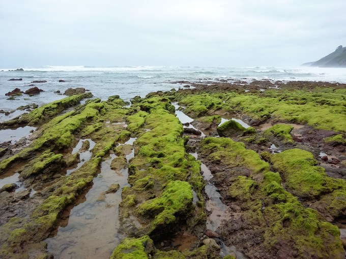 Playa Arenal de Moris (2)
