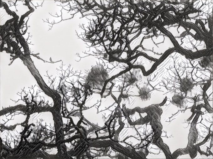 IMG_20171118_190624_processed