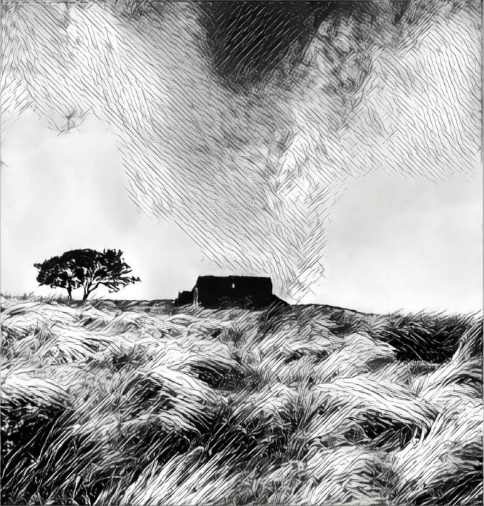 IMG_20171118_193158_processed