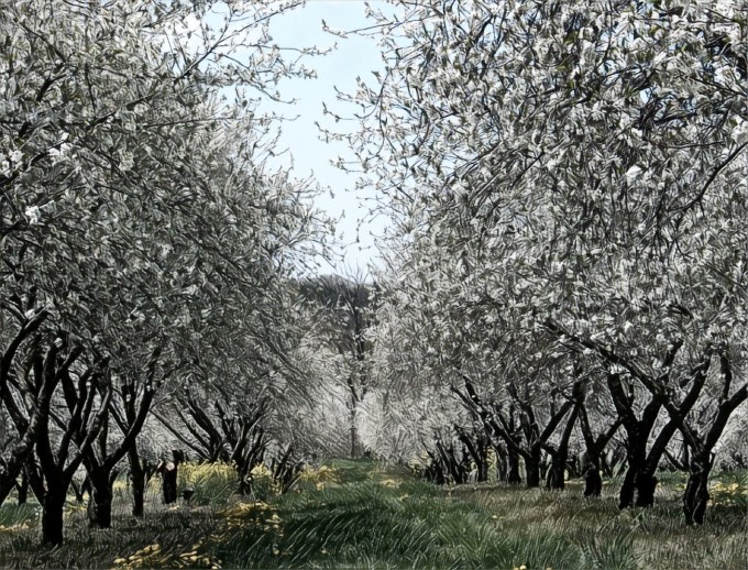 IMG_20180101_161145_processed