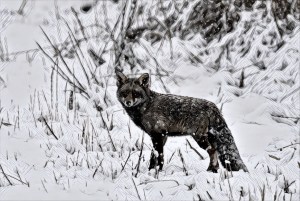 IMG_20180107_193917_processed