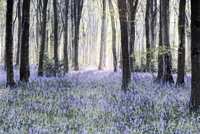 IMG_20180101_155335_processed