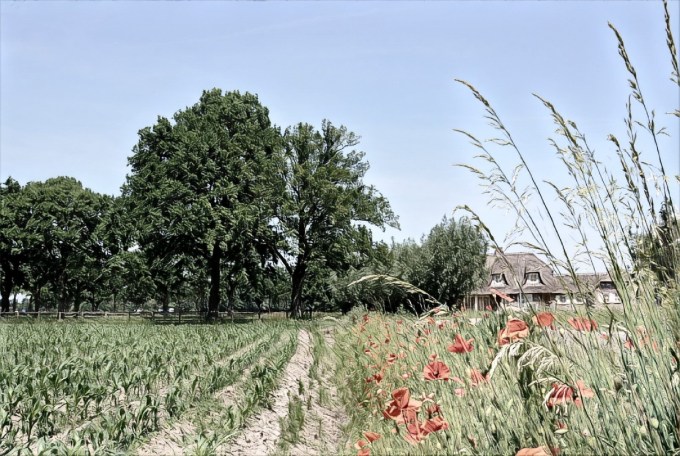 IMG_20180101_162638_processed