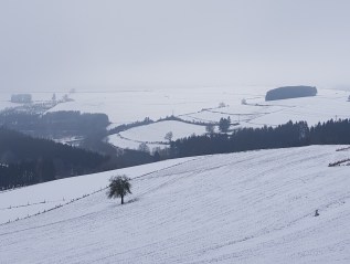Burg-Reuland, Liège, 02.02.19