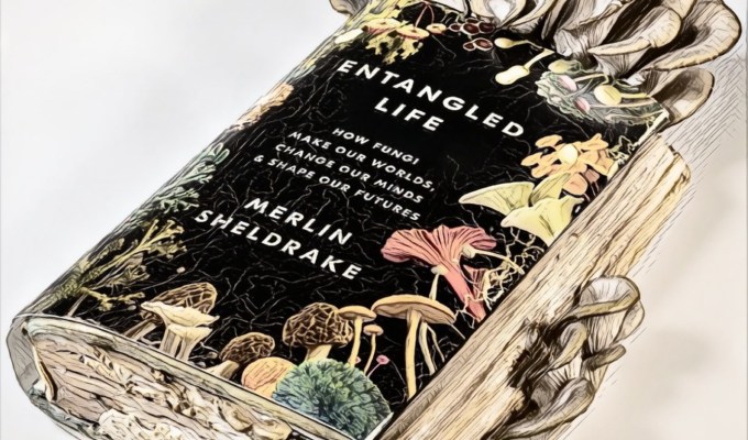 BOEK VAN HET&nbsp;JAAR